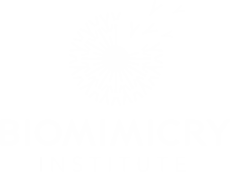 Biomimicry Logo